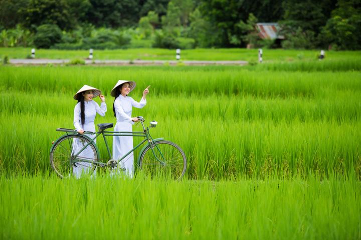 Sự Bùng Nổ Của Video Ngắn và Trí Tuệ Nhân Tạo: Vai Trò Thiết Yếu Của Đào Tạo Kỹ Năng Sáng Tạo Nội Dung_video ngắn trên TikTok