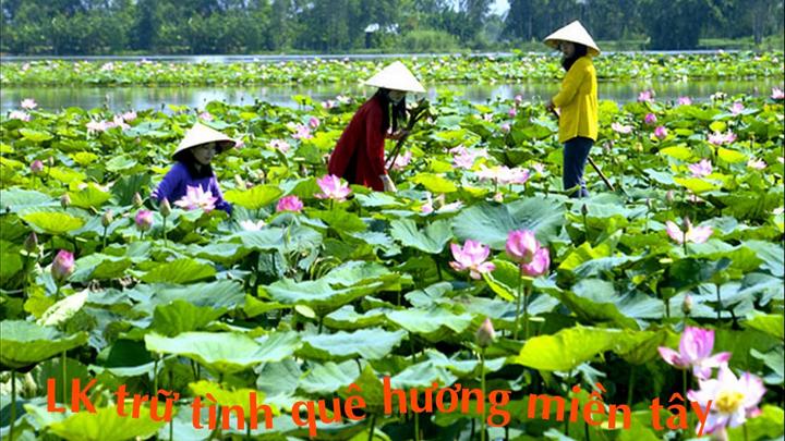 Hotspot Matrix và sự tự tin trong việc tạo ra nội dung video ngắn_Sáng tạo