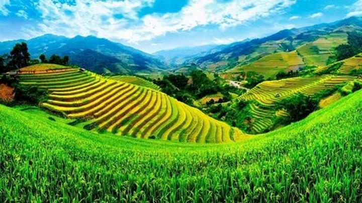 4 kiểu áo sơ mi dìm dáng, xỉn - Cảm hứng video marketing từ Hotspot Matrix_Quick hands